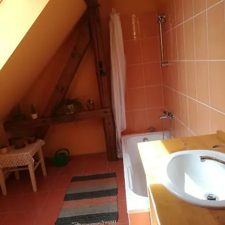Chalupa Rychnov U Nových Hradů Prázdninový dům *